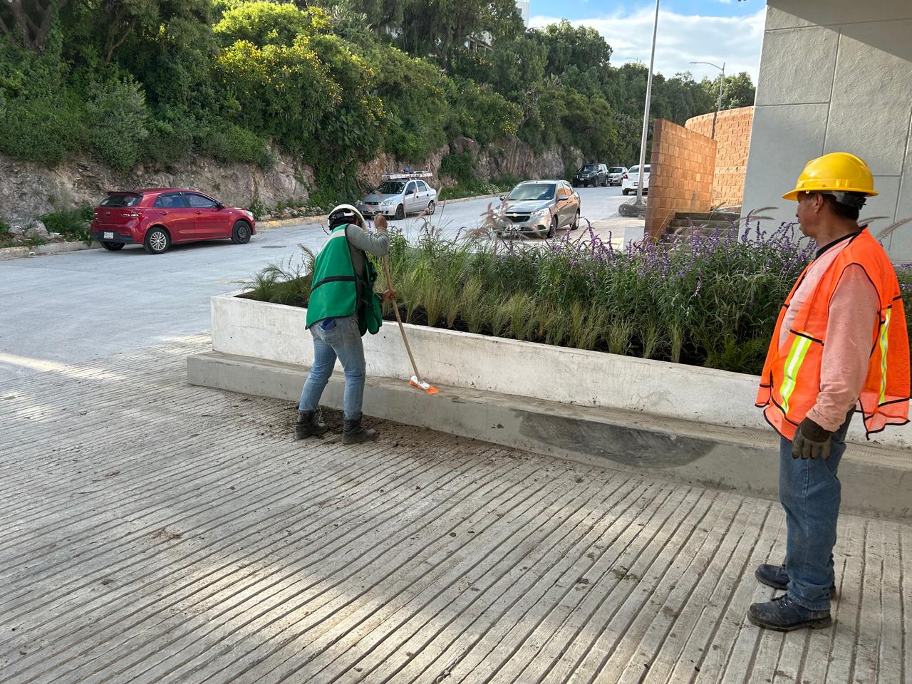 Arquitectura del Paisaje